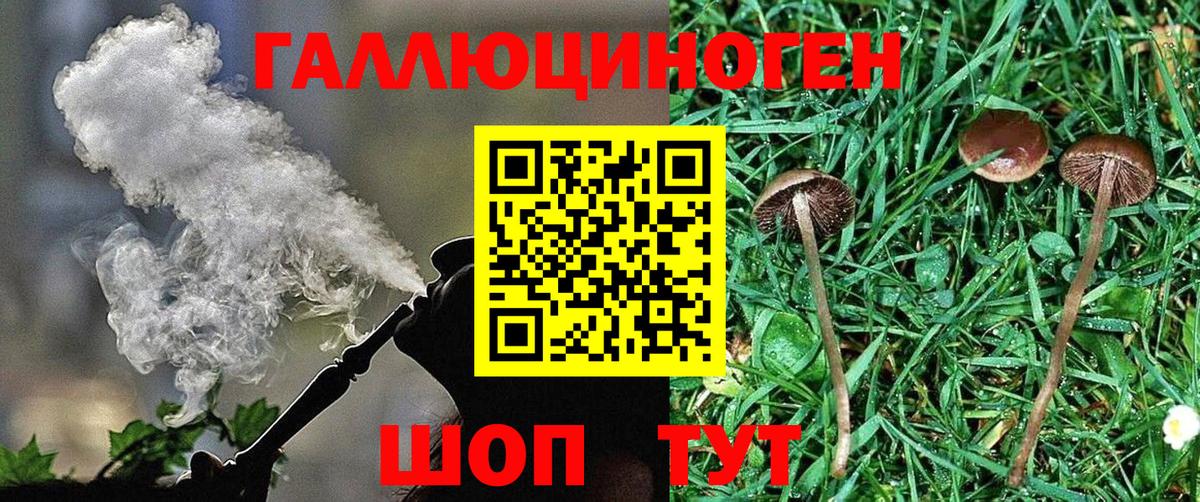 Галлюциногенные грибы прущие грибы Зеленогорск