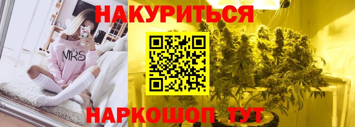 Бошки Шишки сатива Зеленогорск